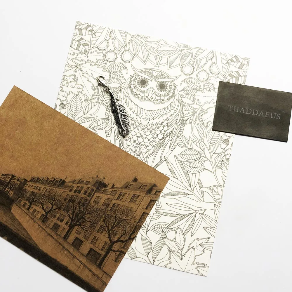 Цепочка с вороном и перьями очаровательная из серебра 2020 пробы для мужчин женщин