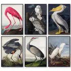 Винтажная птица, холст, печать, синий тракон, белая сова, Pelicans, картины, фотообои, художественные Плакаты для декора комнаты