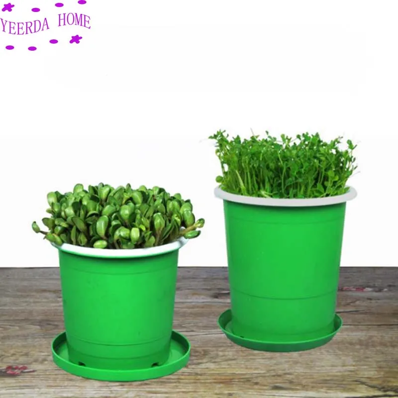 1 комплект банок для бобов maifan stone Sprout бытовые баночки сои и ростки мунг машина