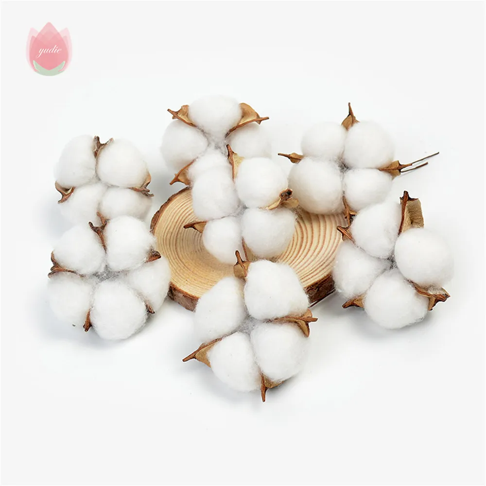 2/5/10 Pcs 5Cm White Cotton Head Natural Kapok Head Dried Flower Decor For Wreaths Wedding Holding Flowers Valentine'S Day Decor