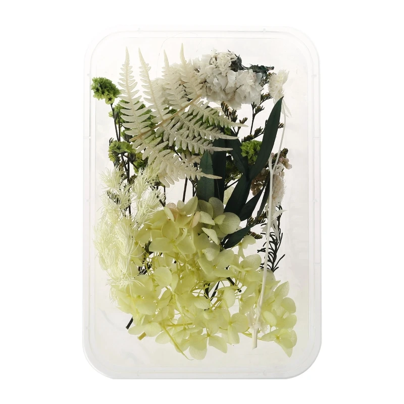 

1 Box Real Mix Dried Flowers for Resin Jewellery Dry Plants Pressed Flower 54DA