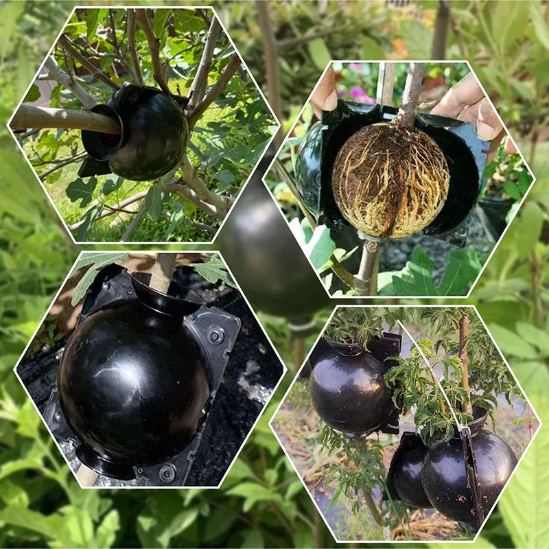 Коробка для выращивания корней растений высокого давления многослойная коробка