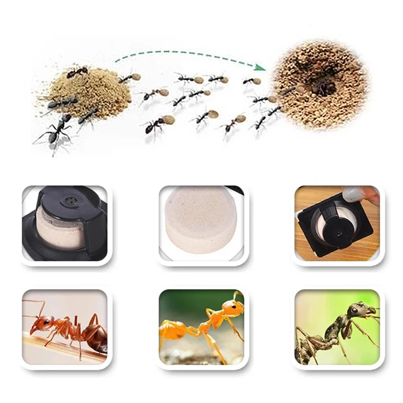 

Ant Agent Ants Killing Powder Bait Control Destroy Ants Repellent Repeller Trap Kill Baits Pest Control Destroy Powder Supplies