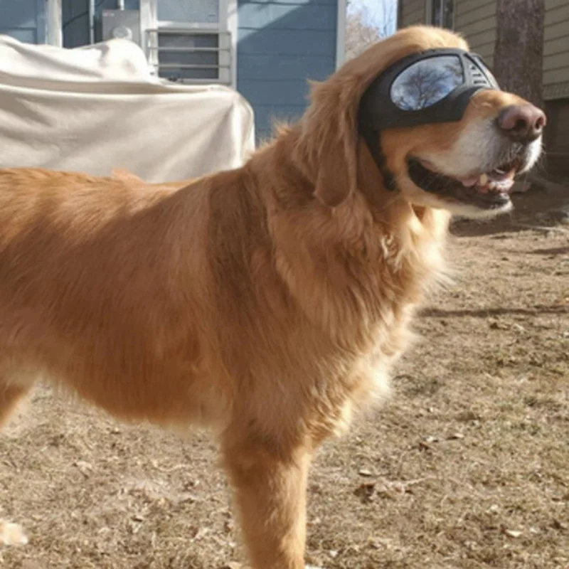 Pet собачьи очки Охота обучение pet для животных Водонепроницаемый собака защитные