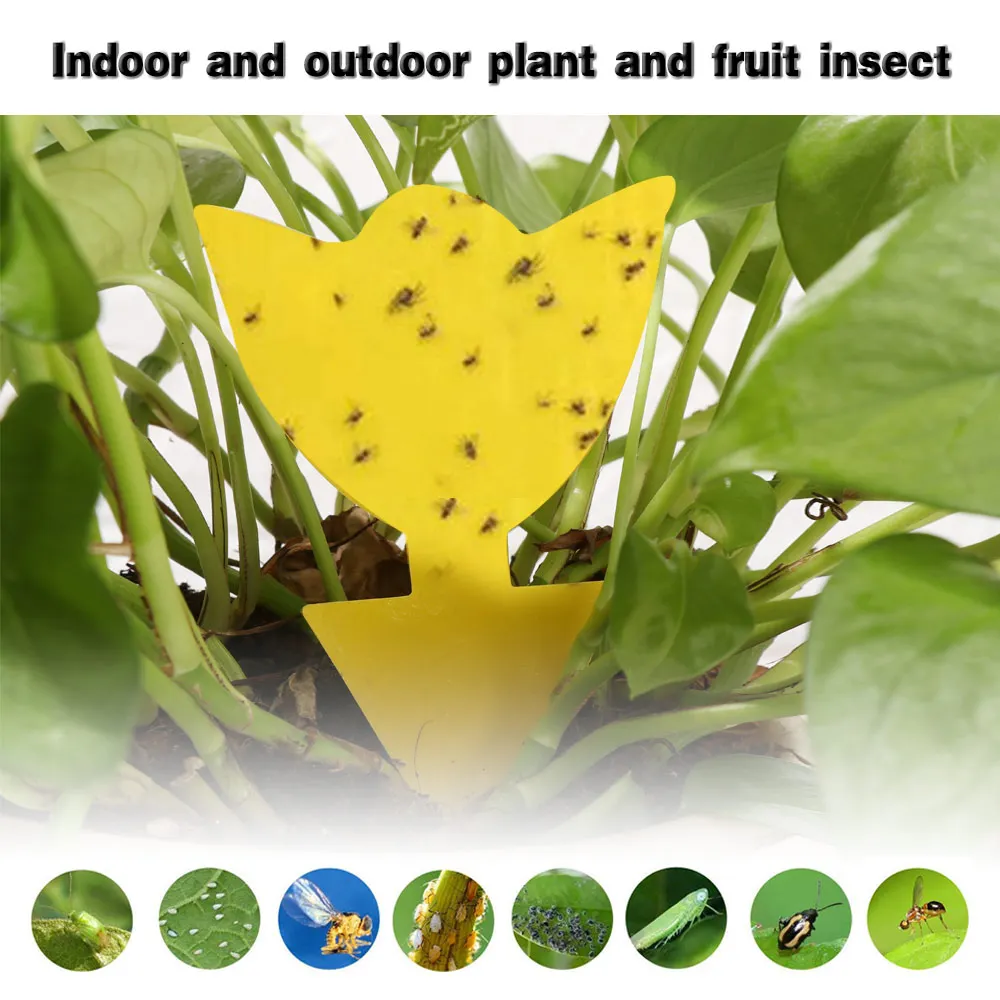Ловушка для фруктов и мух липкий желтой гриб ловушка комнатных уличных растений