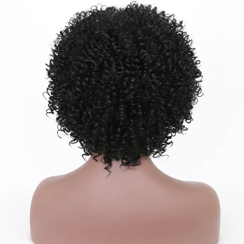 

12'' Short Kinky Curly Wig with Bang Synthetic Afro Kinky Curly Wigs for Women African American Heat Resistant Cosplay Curls Wig