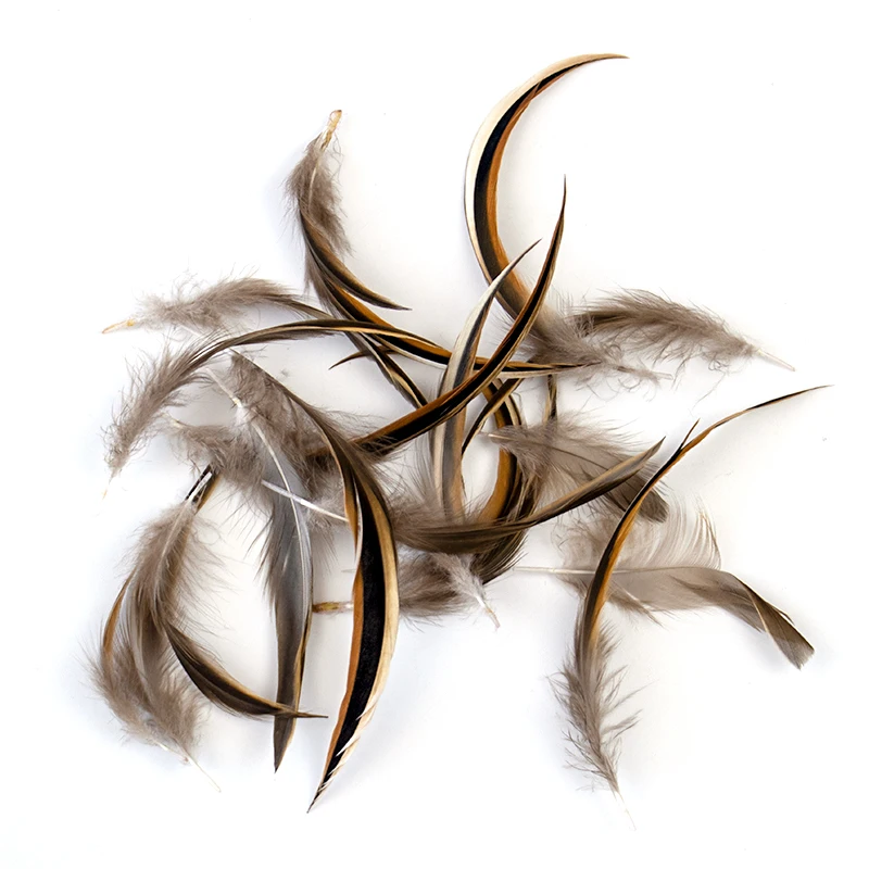 

Black Feather Natural Chicken Cock Feathers 6-8cm Carnival Party Decoration Small Plumes for Craft Cosplay Accessories