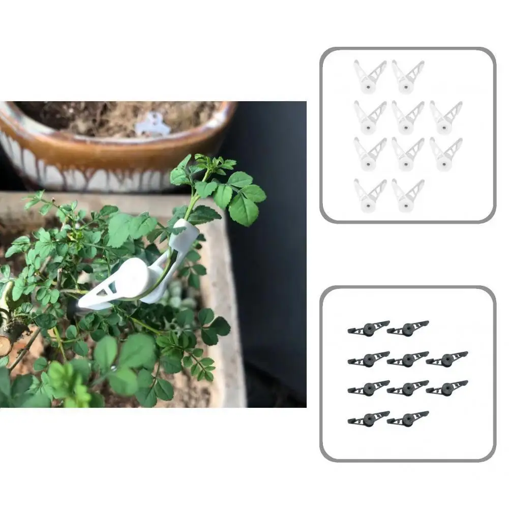 

Водонепроницаемые пластиковые многофункциональные гибочные зажимы для блендера