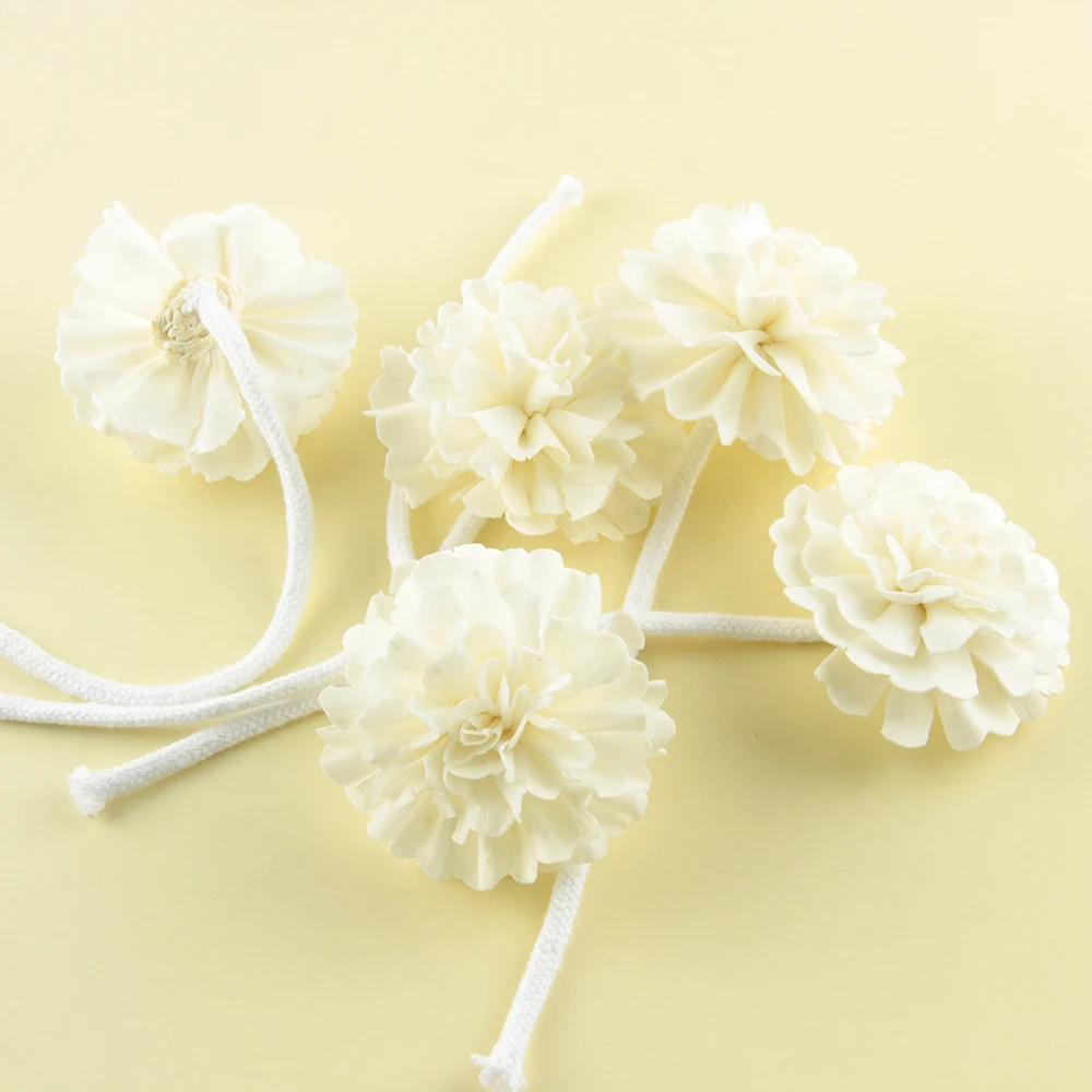 

Suncatcher Rope With Sola Flowers White Color Air Freshener Simulation Plants Festival Party Supplies