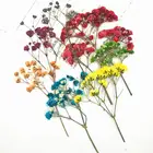 1 упаковка сушеные цветы DIY эпоксидная смола, форма для наполнения Гипсофилы натуральный цветок УФ смола для изготовления ювелирных изделий Аксессуары для наполнителя