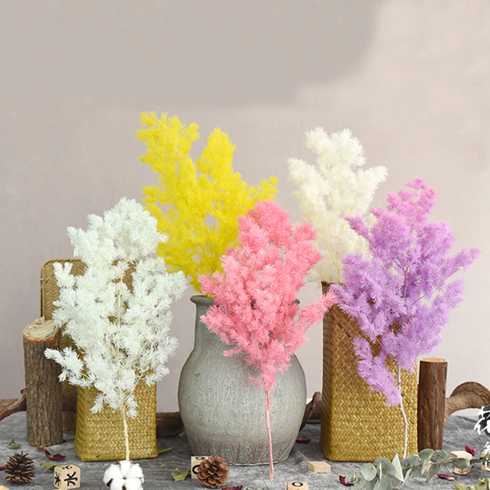 1 шт. сушеные натуральные Цветочные букеты естественная спаржа