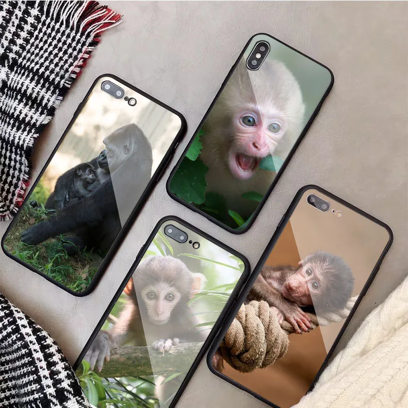 Чехол для iphone 13 12 11 Pro Max 5 6 7 8 PLUS X XS XR XSMax закаленное стекло | Мобильные телефоны и