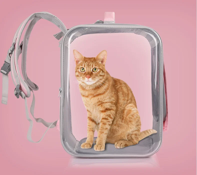 

Переносной чемодан для кошек и собак, прозрачный, складной, 2019