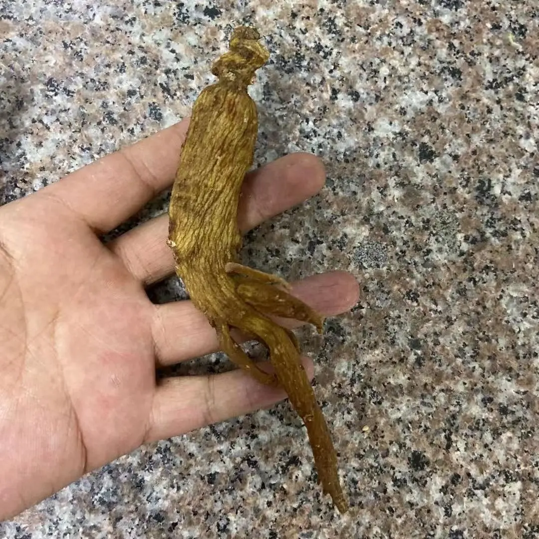 

2019 China Gao Li Sen Korean Ginseng Other Tea Dried Ginseng Without Sugar for Clear Heat and Health Care
