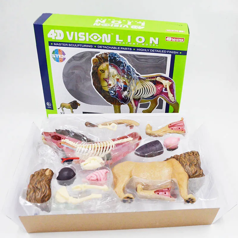 Игрушка-пазл Beast Wild Animal Lion inner Organ анатомическая Учебная модель 4D MASTER | Канцтовары