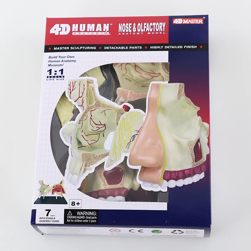 

Обучающая игрушка 4D MASTER, человеческий носовой орган, обучающее оборудование для DIY, популярное научное оборудование
