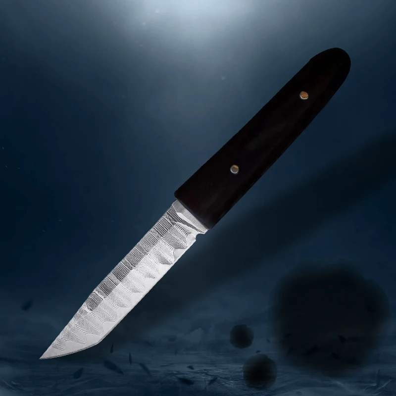 

Охотничий нож из дамасской стали VG10, Фиксированный Клинок с черной ручкой, для кемпинга и выживания, уличный инструмент