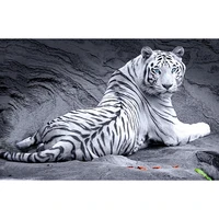 5d diy diamond painting animal white tiger full drill embroidery cross stitch mosaic craft home decor sticker christmas gift
