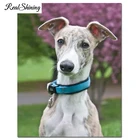 Полный квадратный круглый дрель 5d diy Алмазная картина Whippet Алмазная вышивка собаки милый щенок Вышивка крестом мозаика, художественное ремесло FS6892