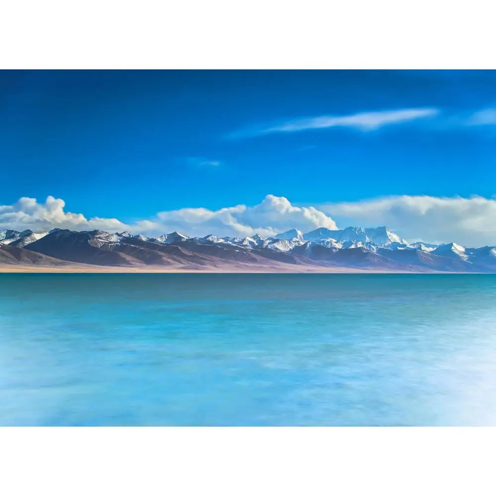 

Vinyl Custom Photography Backdrops Beach Theme Photography Background RY20721-05