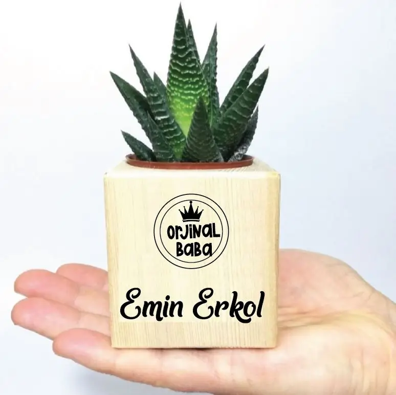 

Персонализированный Оригинальный Деревянный кубический цветочный горшок папа-3