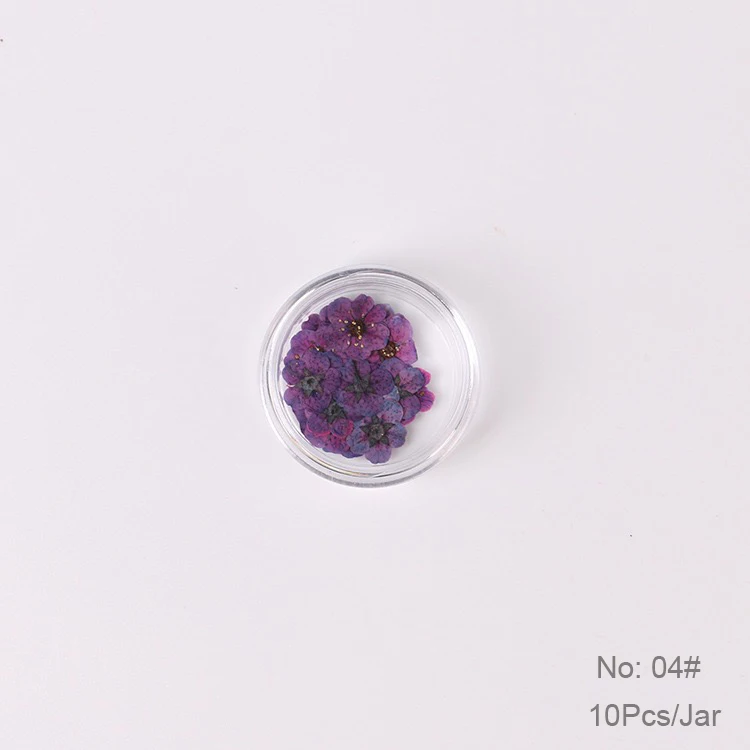 04 10 шт./баночка сушеные цветы украшения для ногтей красочные натуральные сухие цветы 3d красота настоящий цветочный наклейки УФ гель маникюр наклейки - Цвет: 04