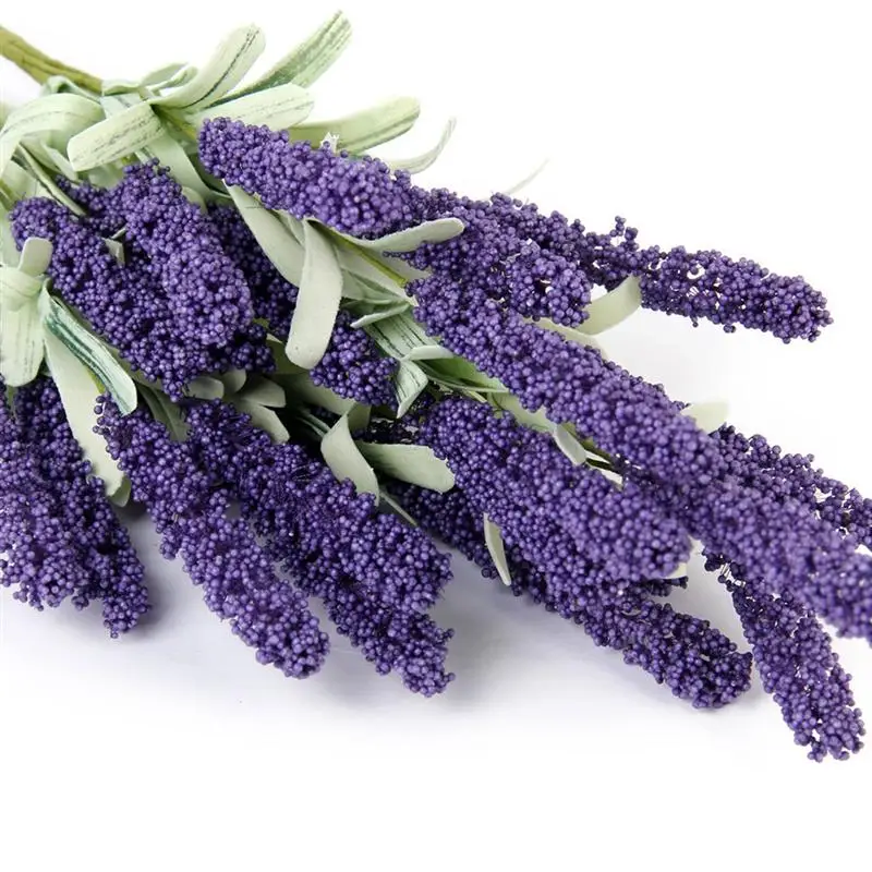 Лаванда Цветы Купить В Спб