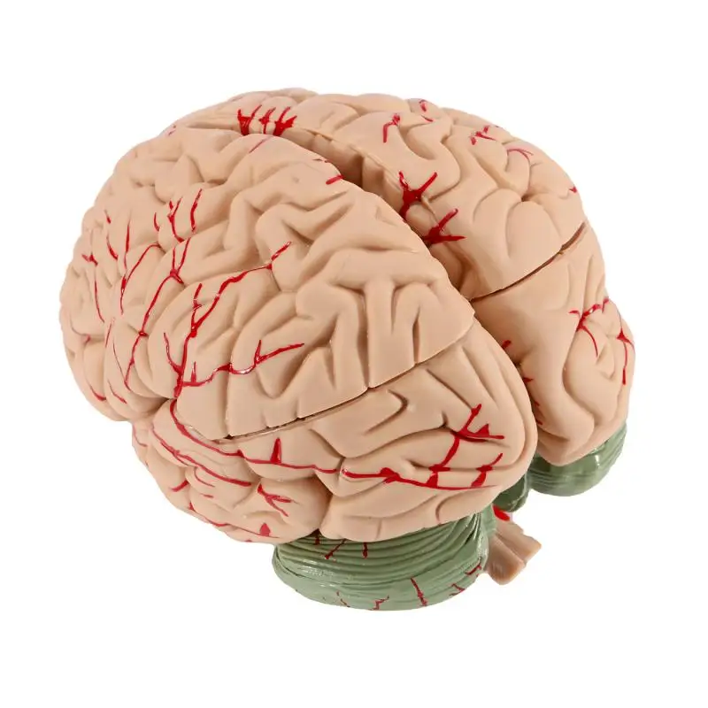 

Educational Equipment & Supplies