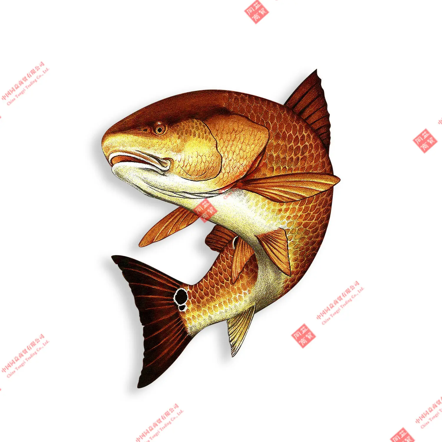 

Red Fish Racing Helmet Sticker Swim Fishing Boat Tackle Box Car Window Bumper Decal Motorcycle Laptop Waterproof Stickers