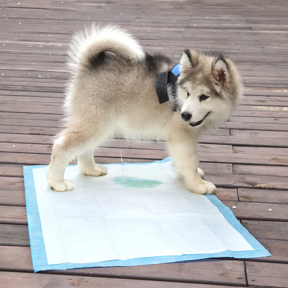 Одноразовые супер впитывающие подгузники для дрессировки питомцев кошек и