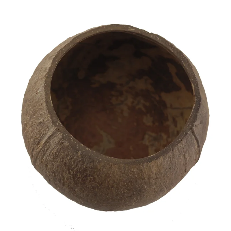 Ветрозащитная настольная подставка для хранения миска из скорлупы кокоса