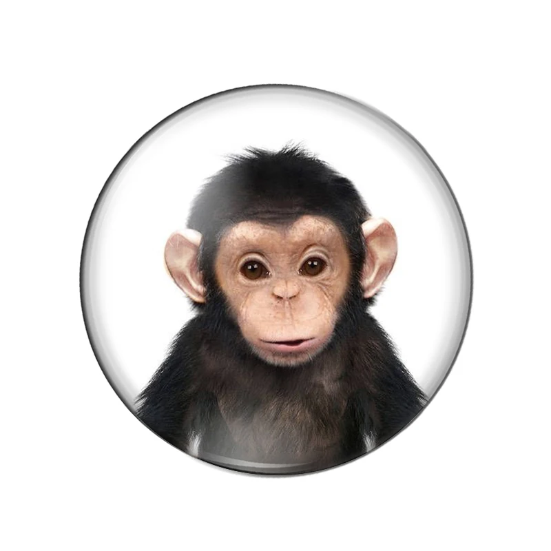 Новинка круглые стеклянные кабошоны для фотографирования детей животных овец