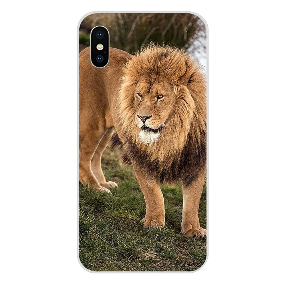 Чехол King Of Lion из ТПУ для Huawei Honor 4C 5A 5C 5X 6 6A 6X 7 7A 7C 7X 8 8C 8S 9 10 10i 20 20i Lite Pro | Мобильные