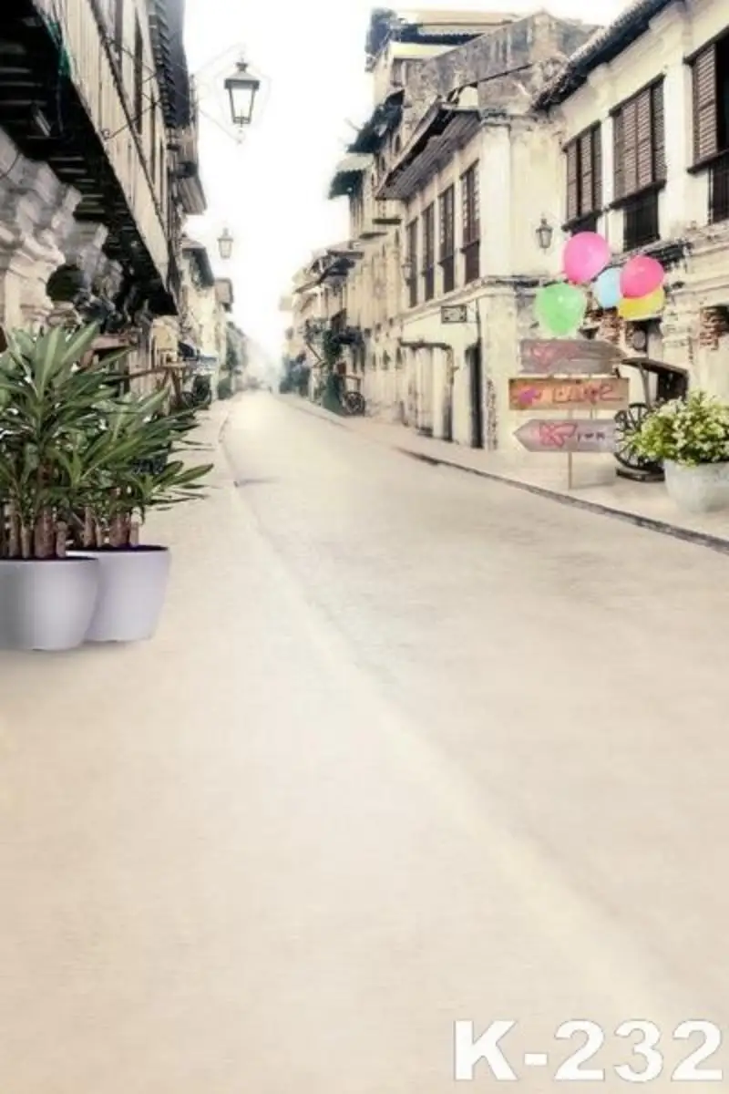 

Old Town Potted Flower Vine Alley Corridor House Scenic Photo Backgrounds Photography Backdrops For Photo Studio