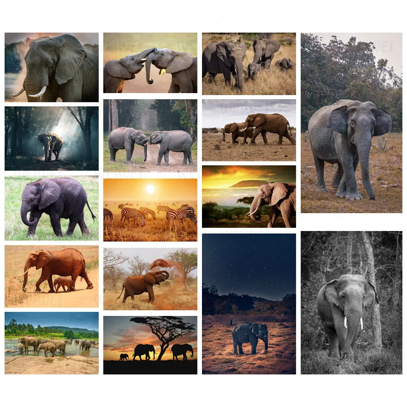 

WEIWEI 5D DIY Diamond Painting Elephant Full Square Diamond Embroidery Animals Mosaic Rhinestone Pictures Home Decor Art