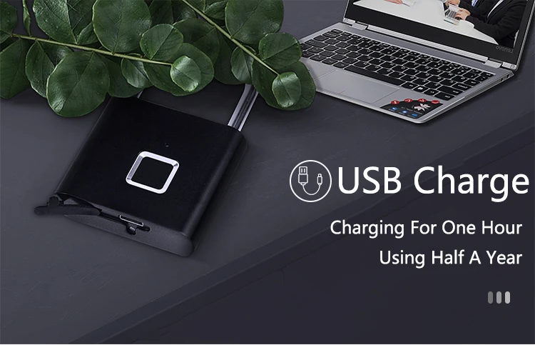 Xiaomi умный электронный замок с отпечатком пальца USB Перезаряжаемый дверной замок без ключа цинковый сплав металлический багажный отсек замок