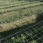 Сетка для вьющихся растений, сетка для посадки цветов, огурцов, опорная сетка, сетка для лозы, сетка для сада, сетка для мошонки растений