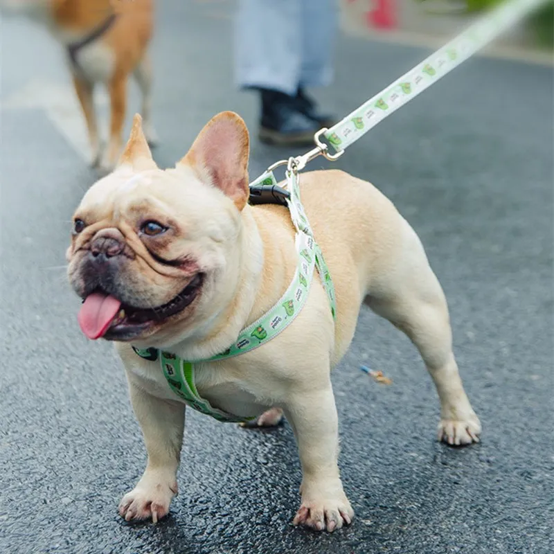 Поводок для собак средний и маленький собачий ошейник поводок плюшевый