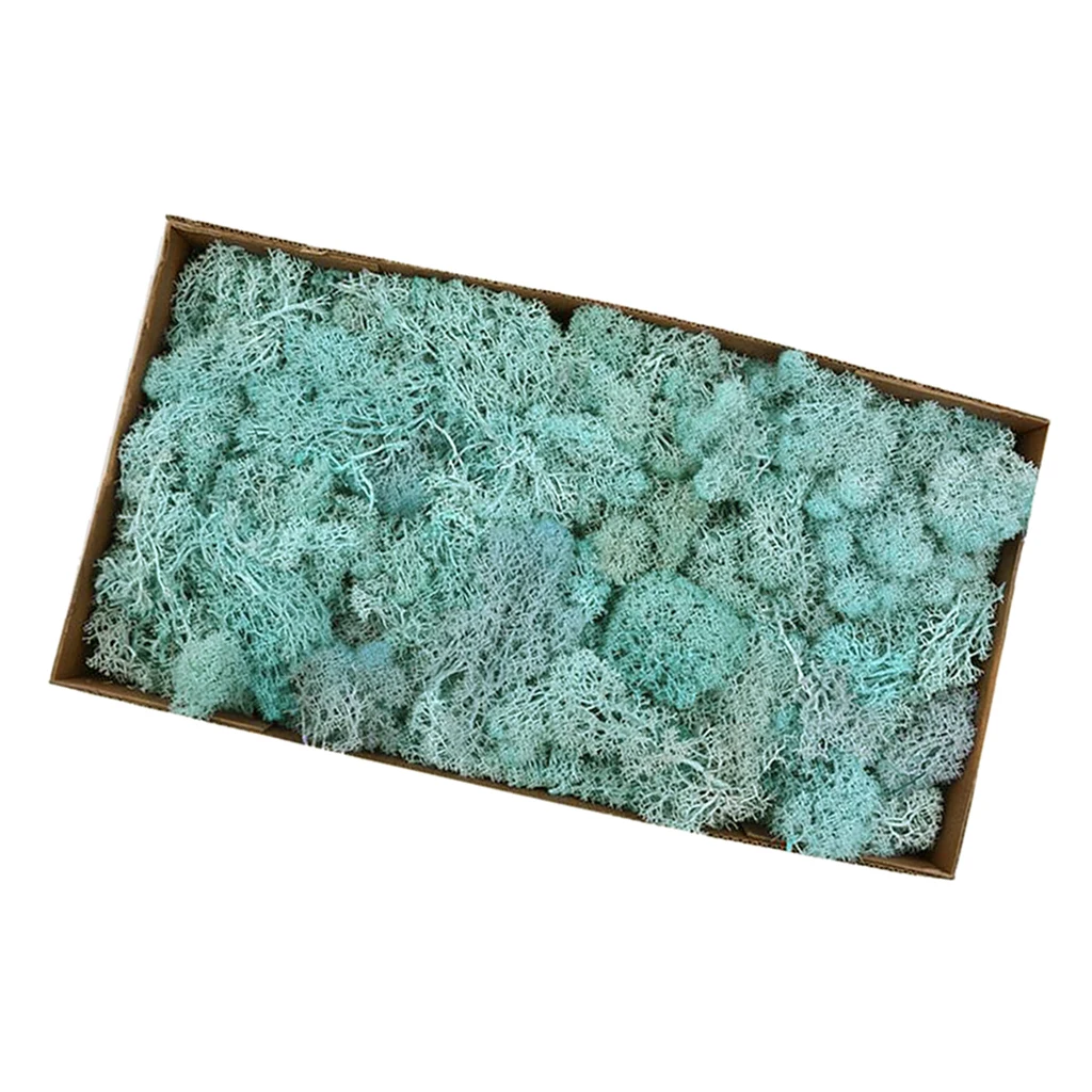 Lake Blue 38x19x10c Натуральный норвежский олень мох консервированный сушеные ремесла цветок для цветов Трава растения для дома и сада Гирлянда Свадебная вечеринка - Цвет: Lake Blue 38x19x10c