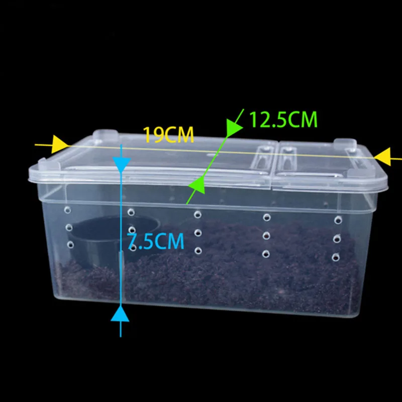 

Terrarium for reptiles Transparent Plastic Box Insect Reptile Transport Breeding Live Food Feeding Box Drop Ship high quality