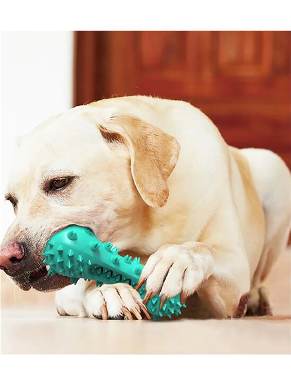 Juguete masticable para cachorros de goma Natural para perro, juguetes que aman juguete con quirrido, interactivo, resistente a las mordeduras, Juguetes para perros de limpieza para perros, N08-2