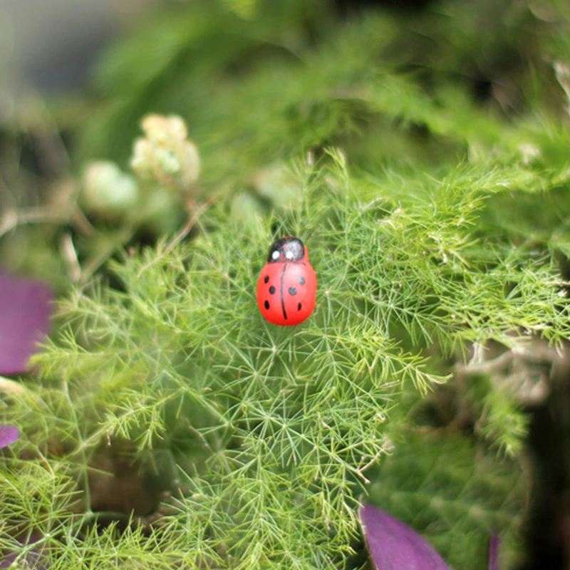 

2021 New 10Pcs Mini Ladybird Red Beetle Ladybug Fairy Doll House Garden Decor Ornament