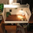 Кокосовое волокно коврик для бородатых черепах-драконов Коврик для рептилий кокосовое волокно ящерица клетка коврик змея постельное белье кролик коврик