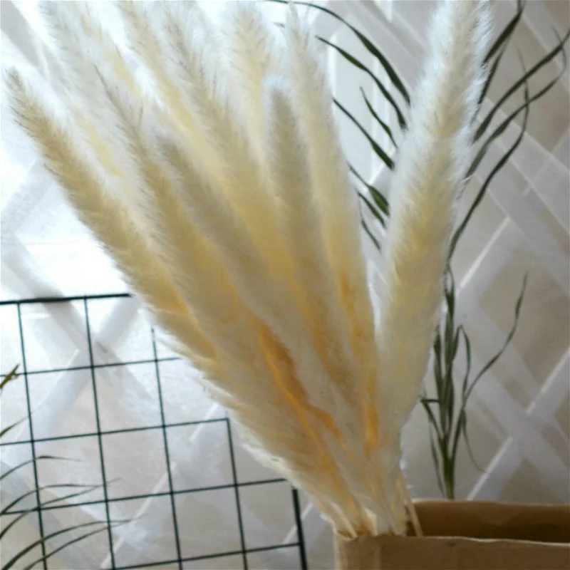 10pc 50cm Сухоцветы сухие цветы 10 шт. сушеные цветы маленькие пампасы трава фрагмиты коммунис Рид цветок садовый декор натуральный настоящая Пшеница Свадебные фотосессии реквизит сухоцветы - Цвет: 10pc 50cm