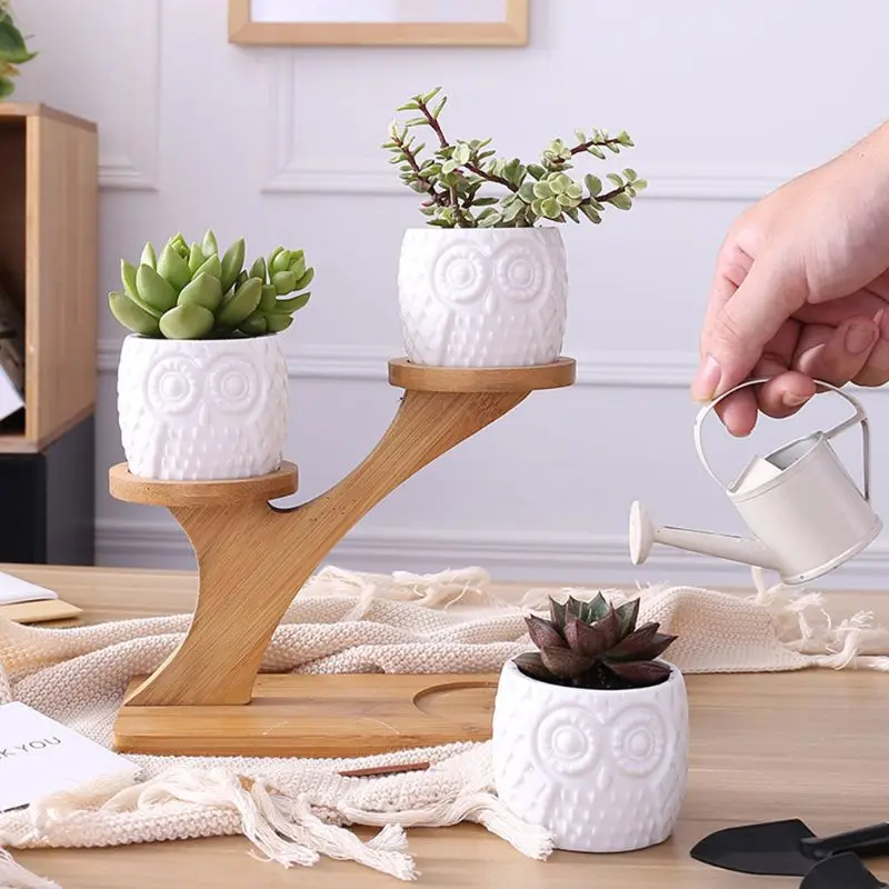 

Cute Owl Pot Succulent Cactus Planter Flowerpot Set With Bamboo Shelf Tray Decor 50JD