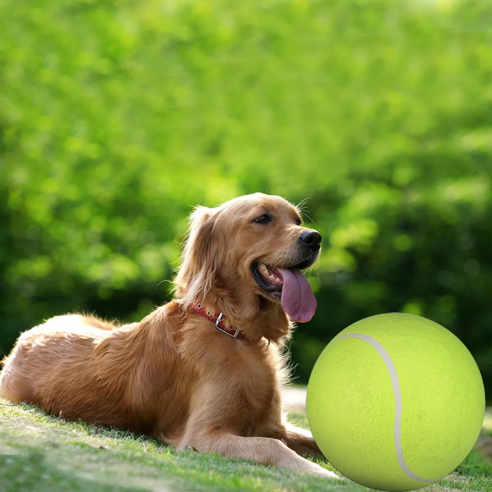 

Интерактивные игрушки для собак, 24 см, гигантский теннисный мяч для домашних животных, жевательная игрушка, надувные принадлежности, улична...