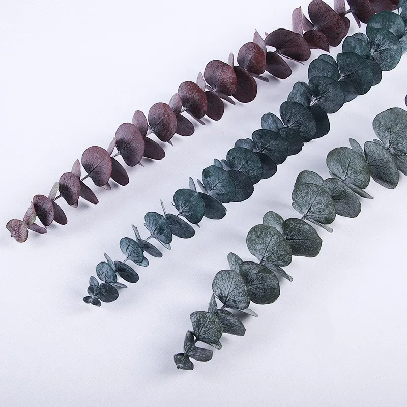 

Натуральные листья эвкалипта, стебли ветвей, сушеные цветы, настоящие растения, украшение для «сделай сам», свадебная стрельба, реквизит, то...