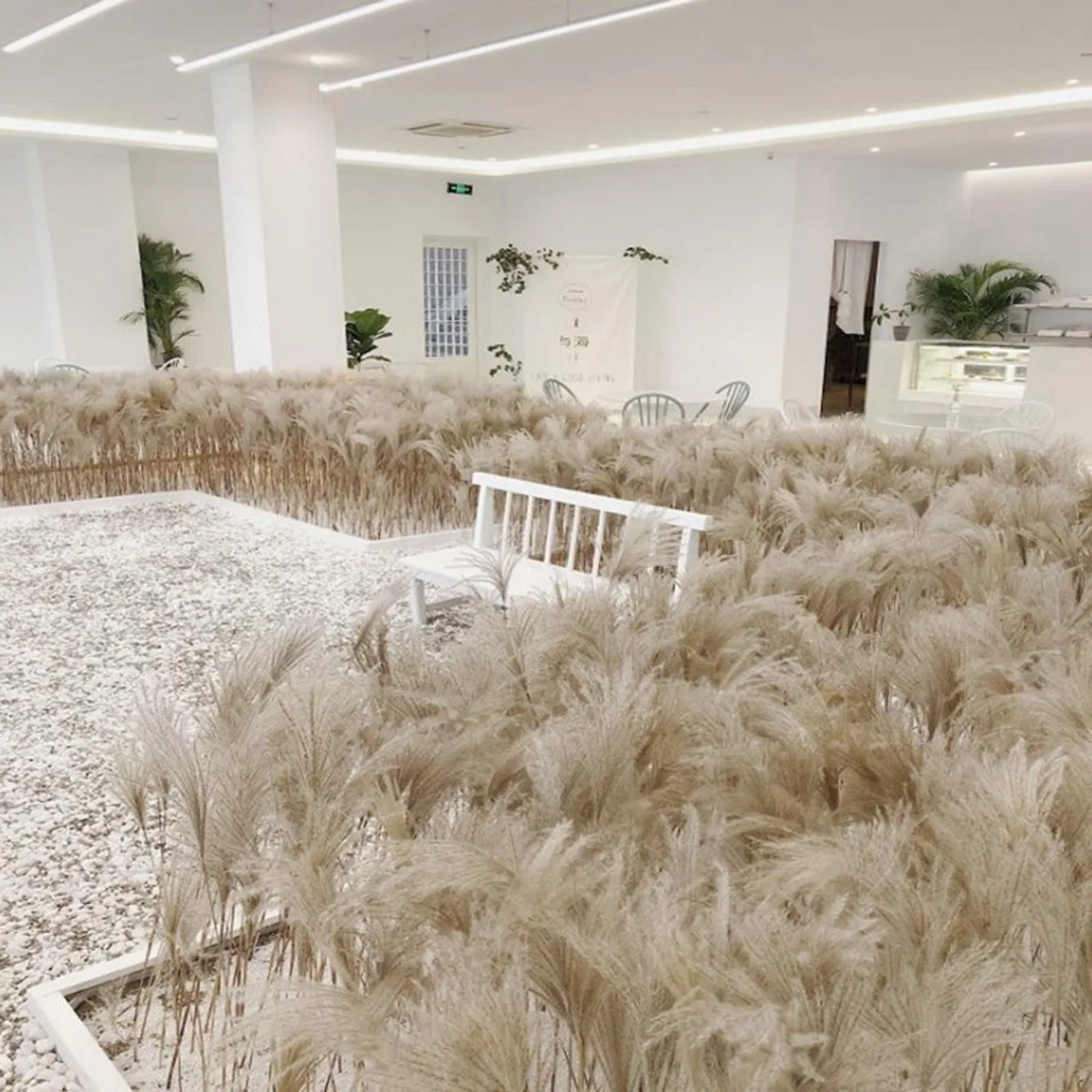 30/50 шт. натуральная пампасная трава сушеные цветы букет коричневый Бохо