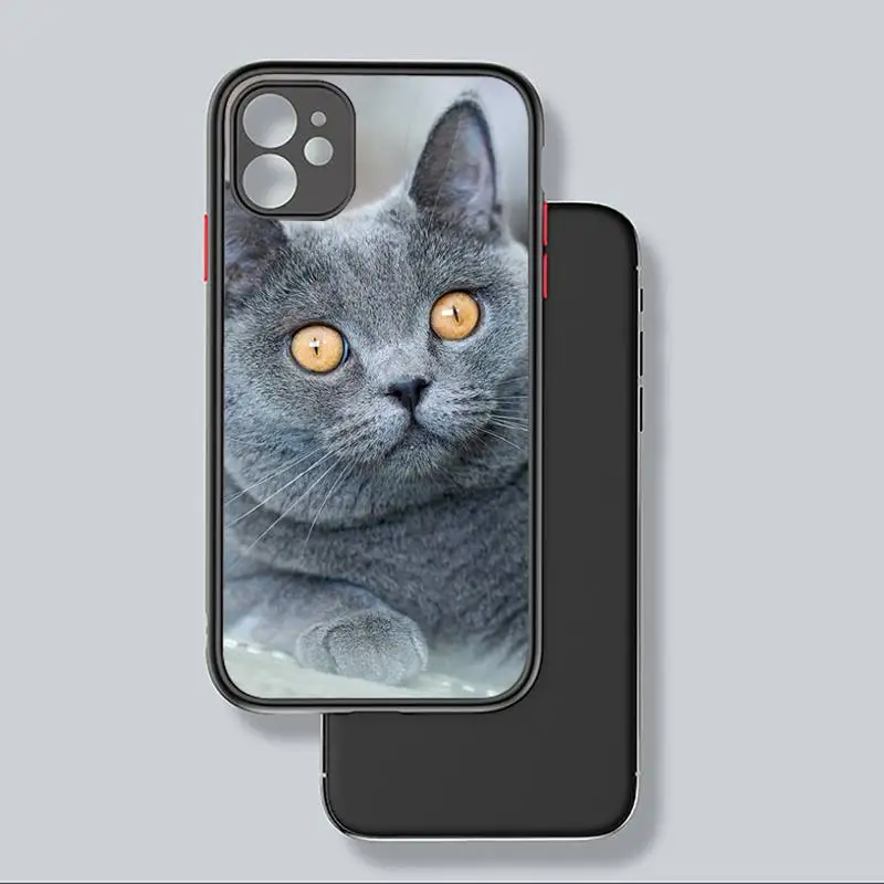 

British Shorthair cat Phone Case Matte Transparent for iPhone 7 8 11 12 s mini pro X XS XR MAX Plus coque