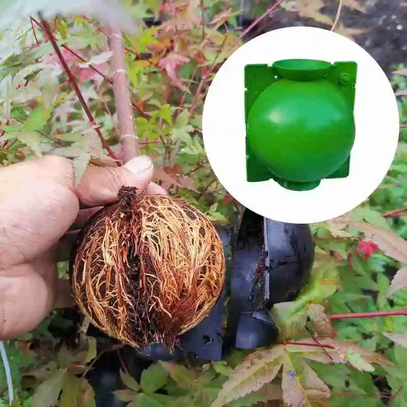 5 шт. завод корень гроубокс прививки укоренения мяч высокого Давление сад